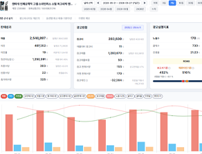 상품 상세보고서 캡쳐